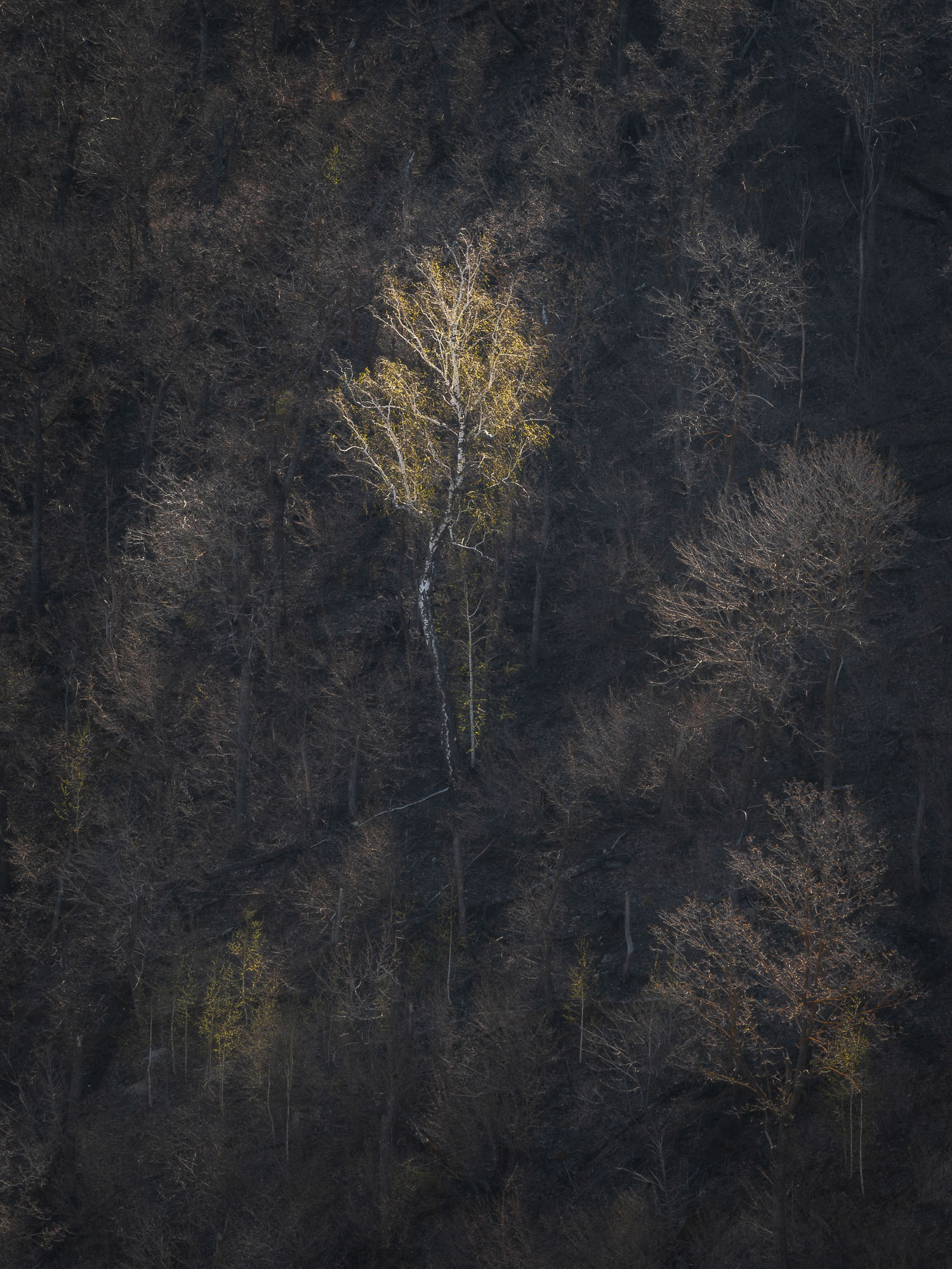 Фото пейзажа